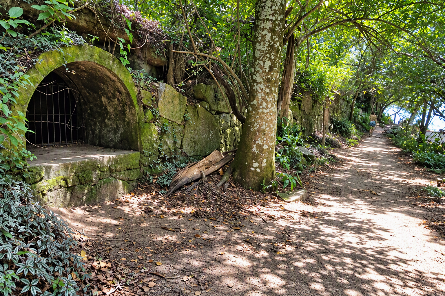 Ruínas do Lazareto e Aqueduto: Um capítulo da história da Ilha Grande