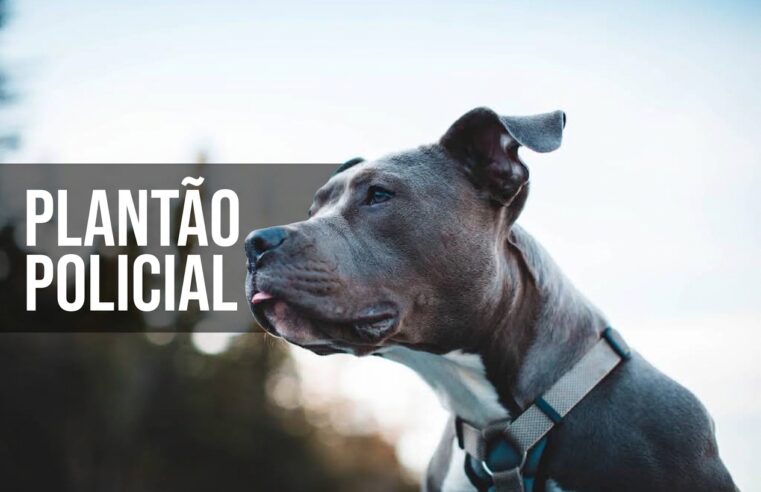 Criança de 3 anos morre após ataque de pitbull em Cosmos, na Zona Oeste do Rio