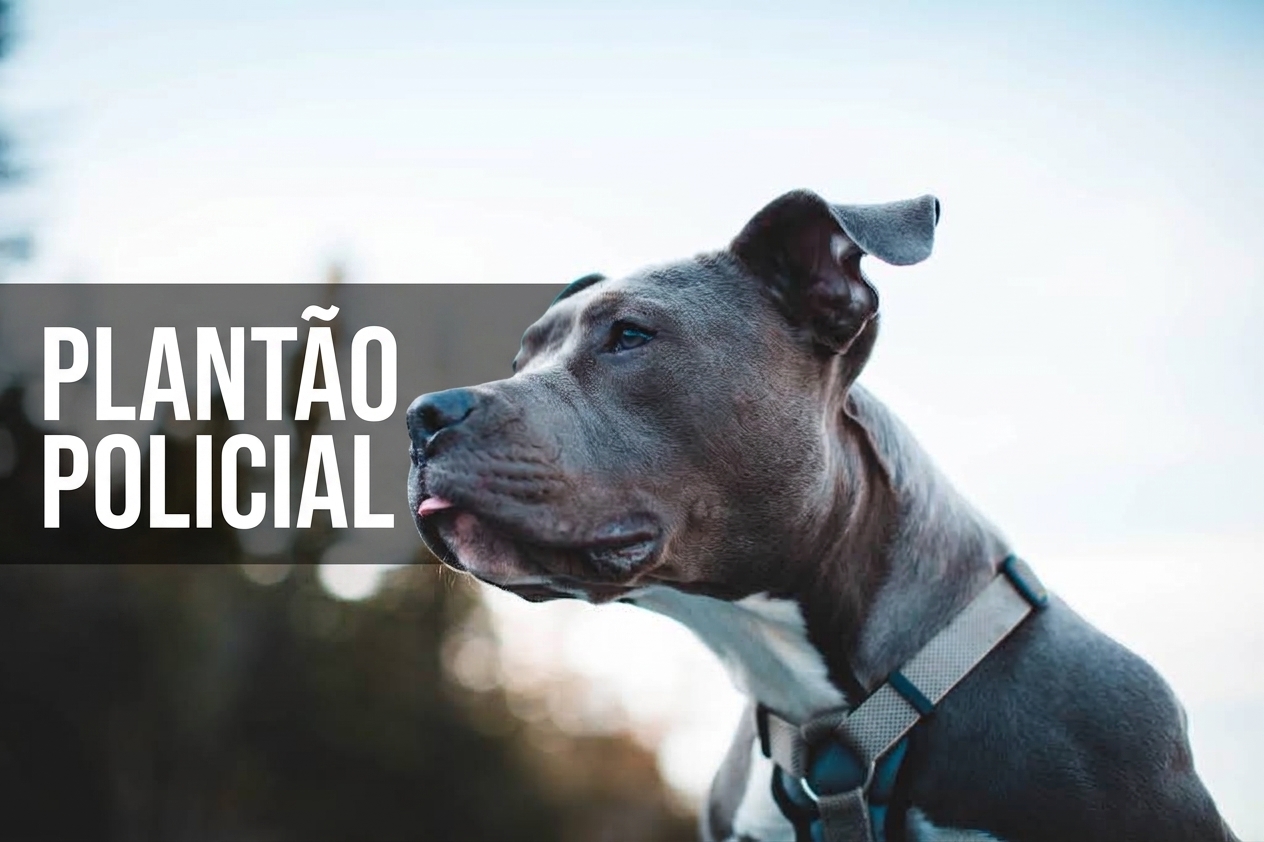 Criança de 3 anos morre após ataque de pitbull em Cosmos, na Zona Oeste do Rio