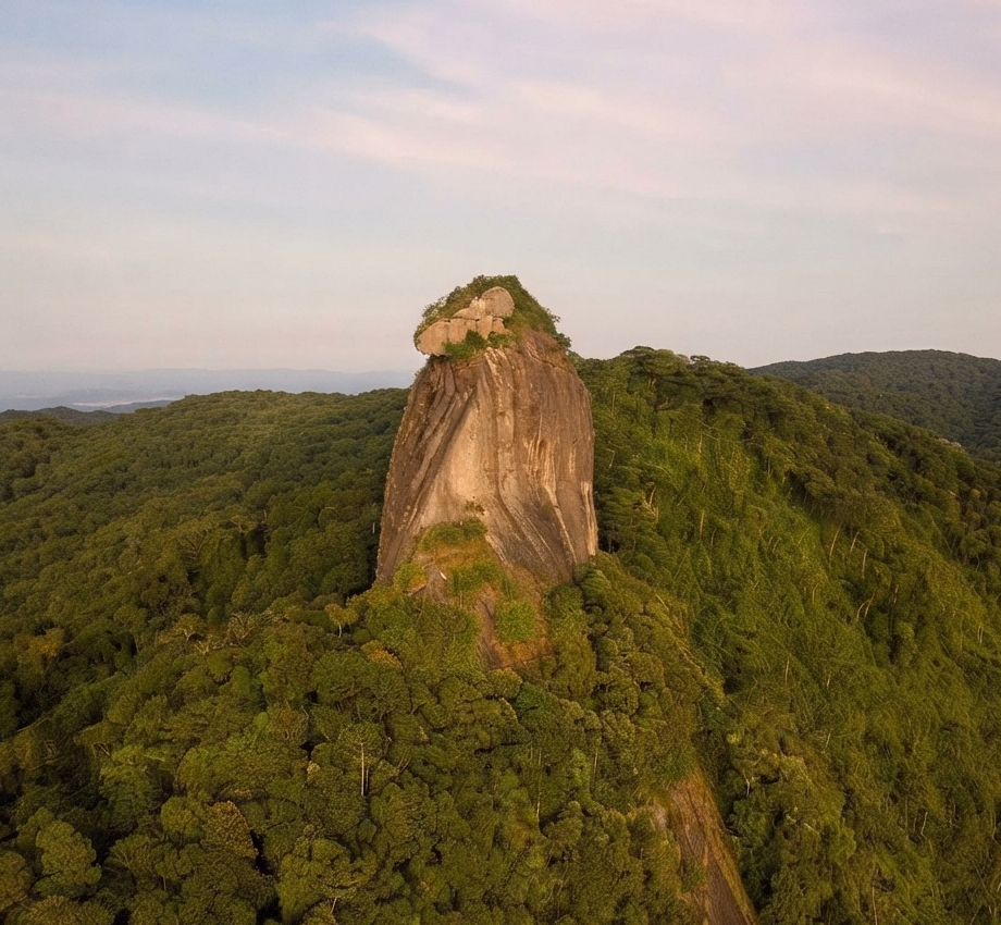 Pico do Papagaio