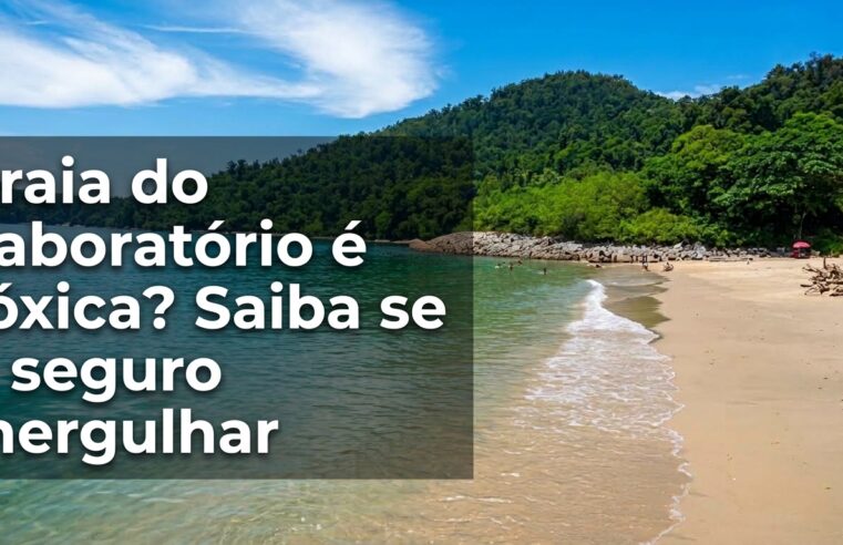 Praia do Laboratório é tóxica? Veja se é seguro mergulhar nas águas quentes de Angra