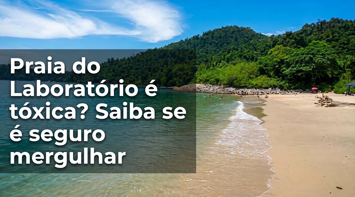 Praia do Laboratório é tóxica? Veja se é seguro mergulhar nas águas quentes de Angra