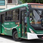 transporte gratuito