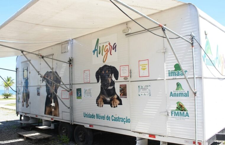 Castração gratuita de cães e gatos em Angra: veja como fazer o cadastro